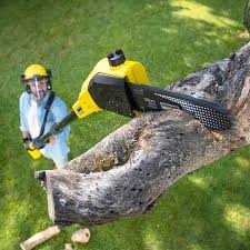 Best Commercial Tree Services  in Sequim, WA