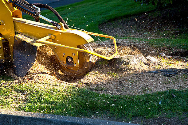 Best Landscape Design and Installation  in Sequim, WA