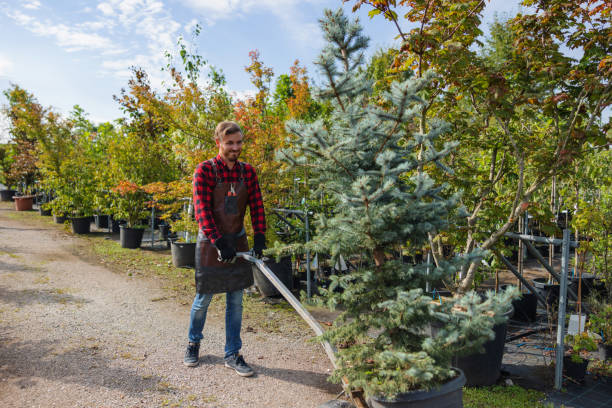 Best Pest Control for Lawns  in Sequim, WA